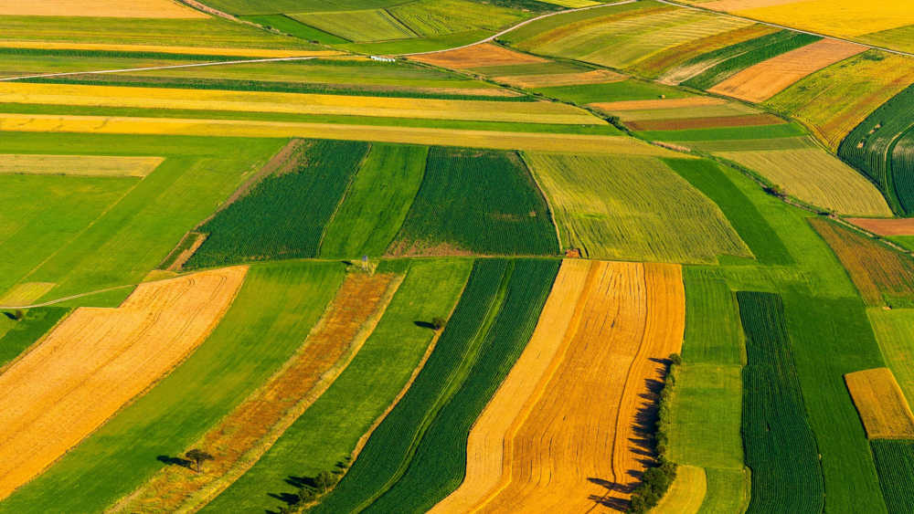 Agricultural Land - Jessore